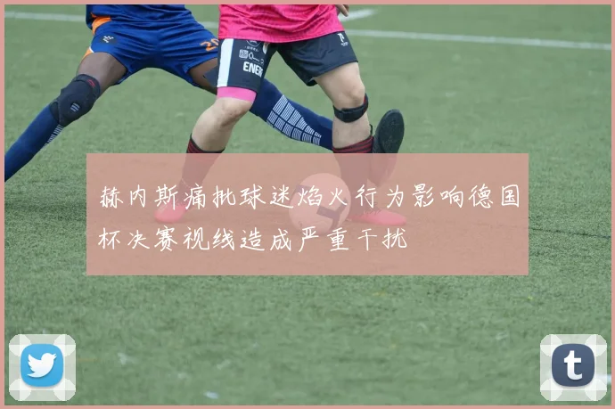 赫内斯痛批球迷焰火行为影响德国杯决赛视线造成严重干扰