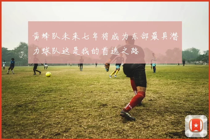 黄蜂队未来七年将成为东部最具潜力球队这是我的首选之路