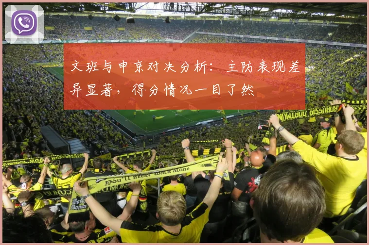 文班与申京对决分析：主防表现差异显著，得分情况一目了然