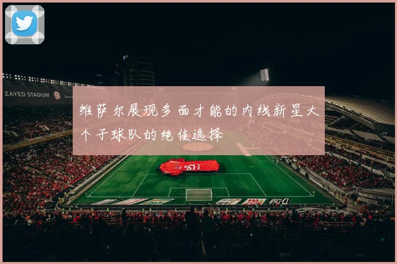 维萨尔展现多面才能的内线新星大个子球队的绝佳选择